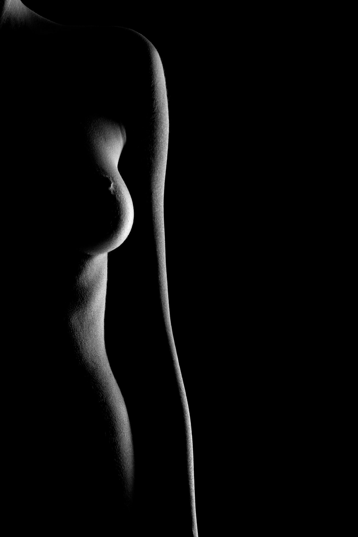 Punto di Origine quadro bodyscape minimal
