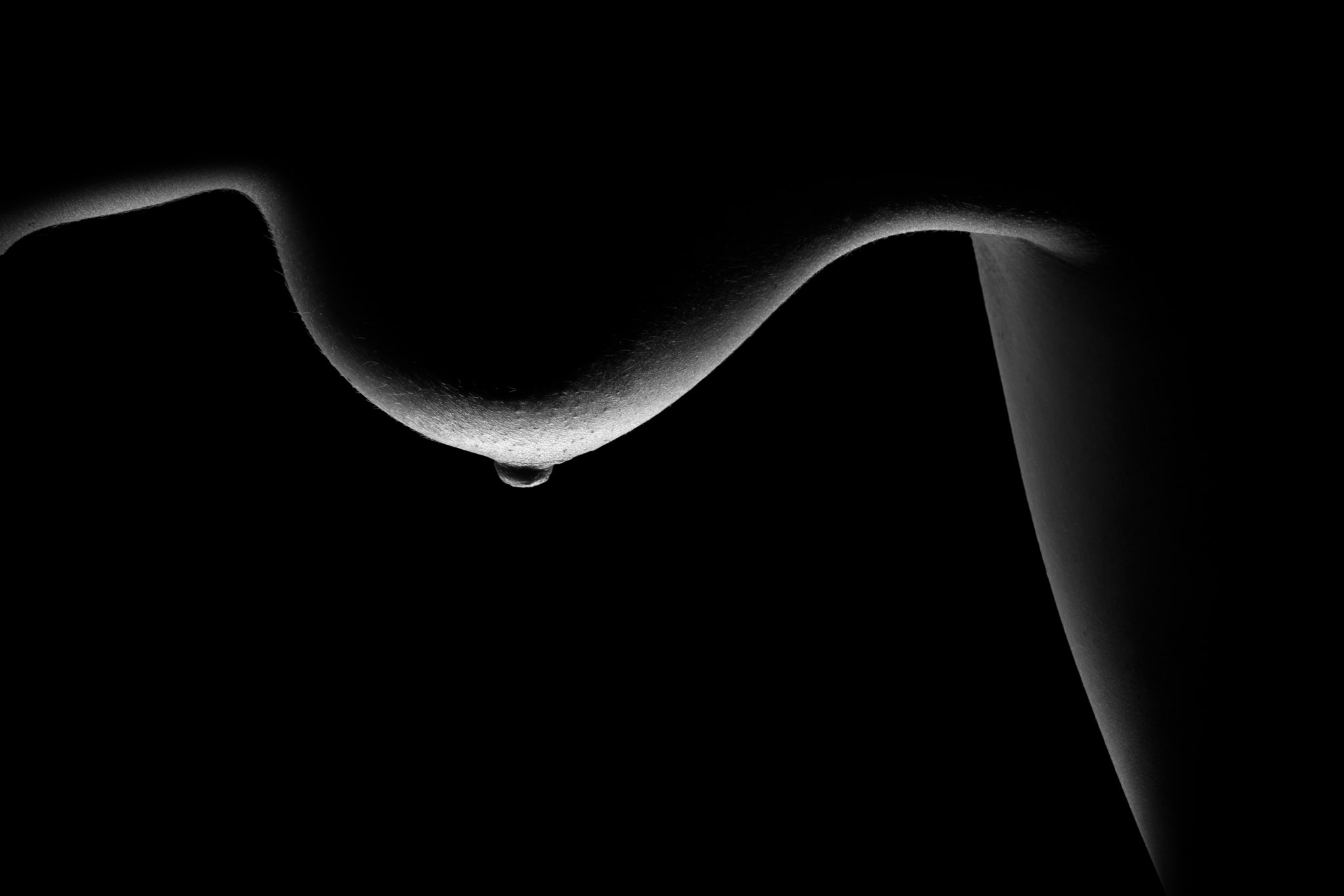 Piena minimal bodyscape wall art