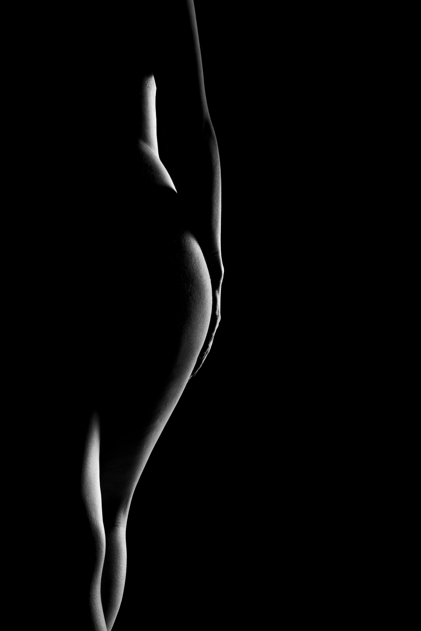 Rinudo minimal bodyscape wall art
