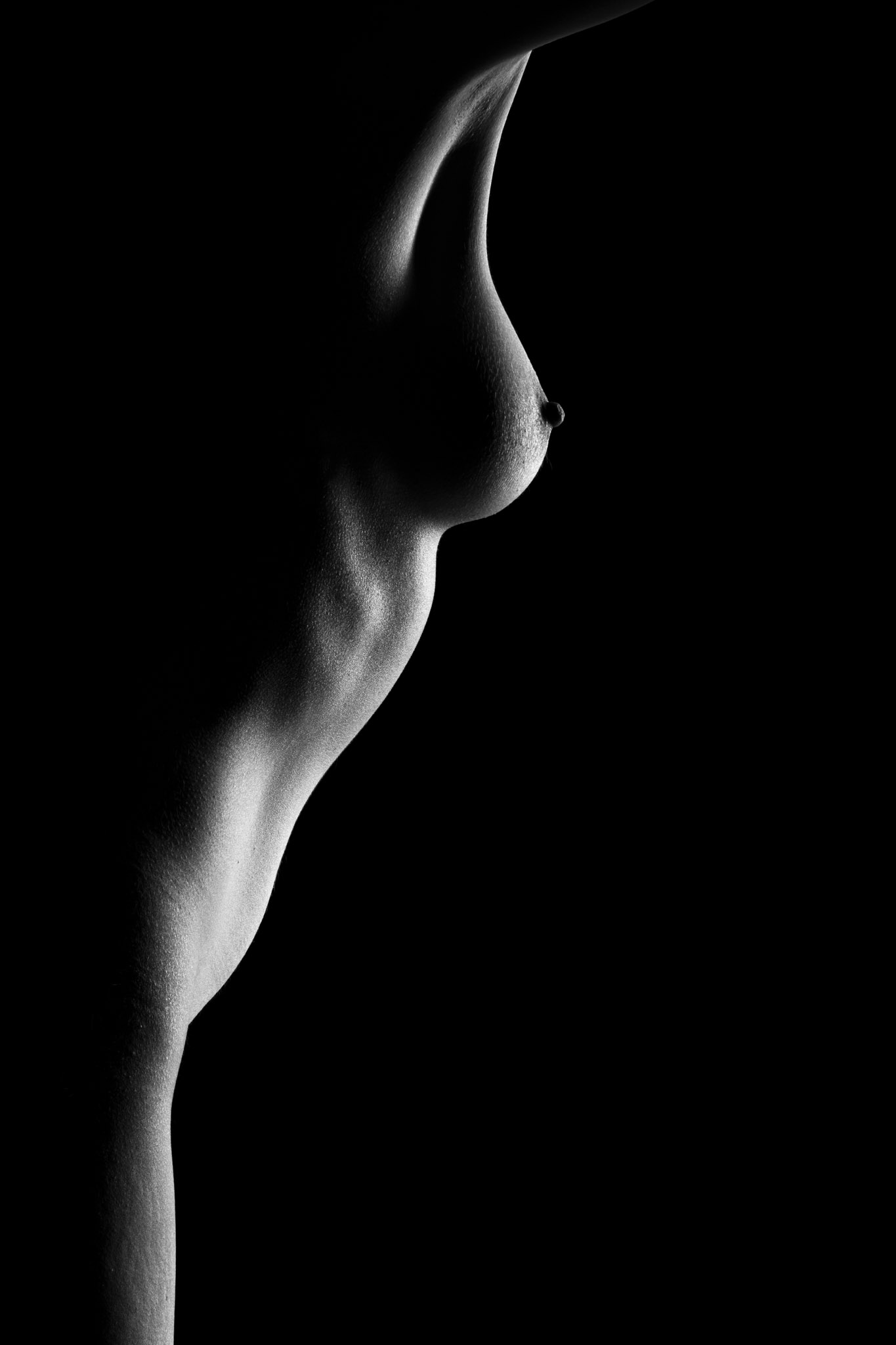 Corpo Vivo minimal bodyscape wall art