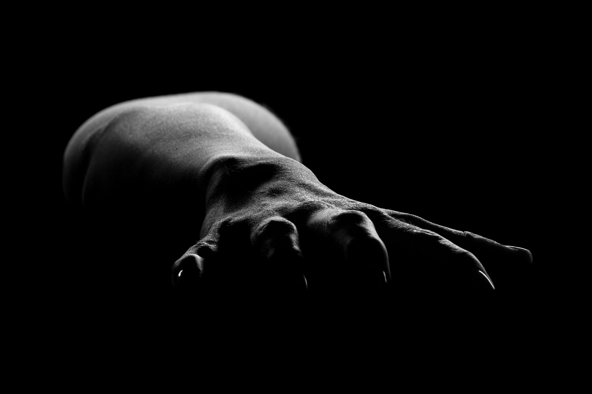 Disordine body silhouette photography wall art