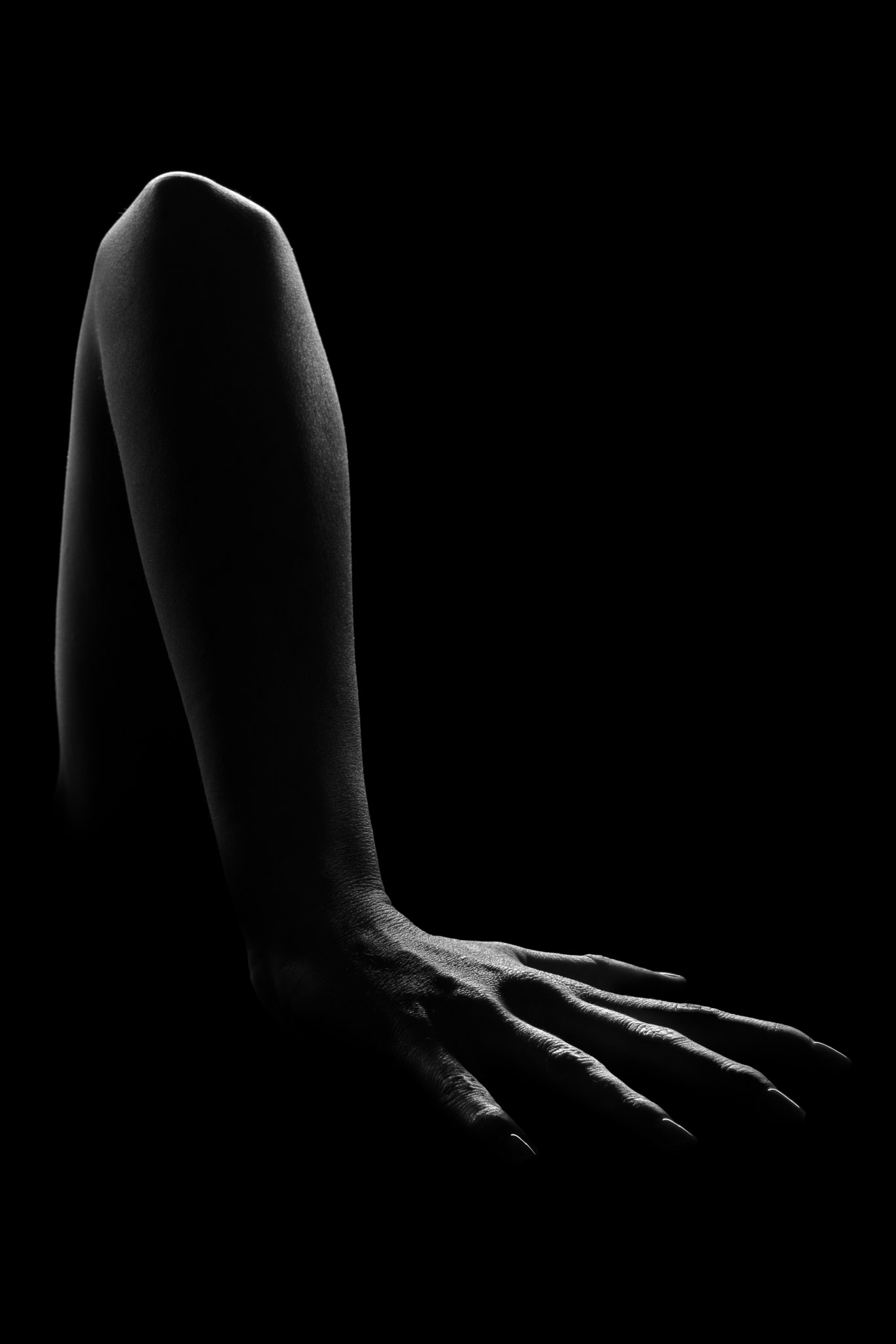 Nascosto body silhouette photography wall art