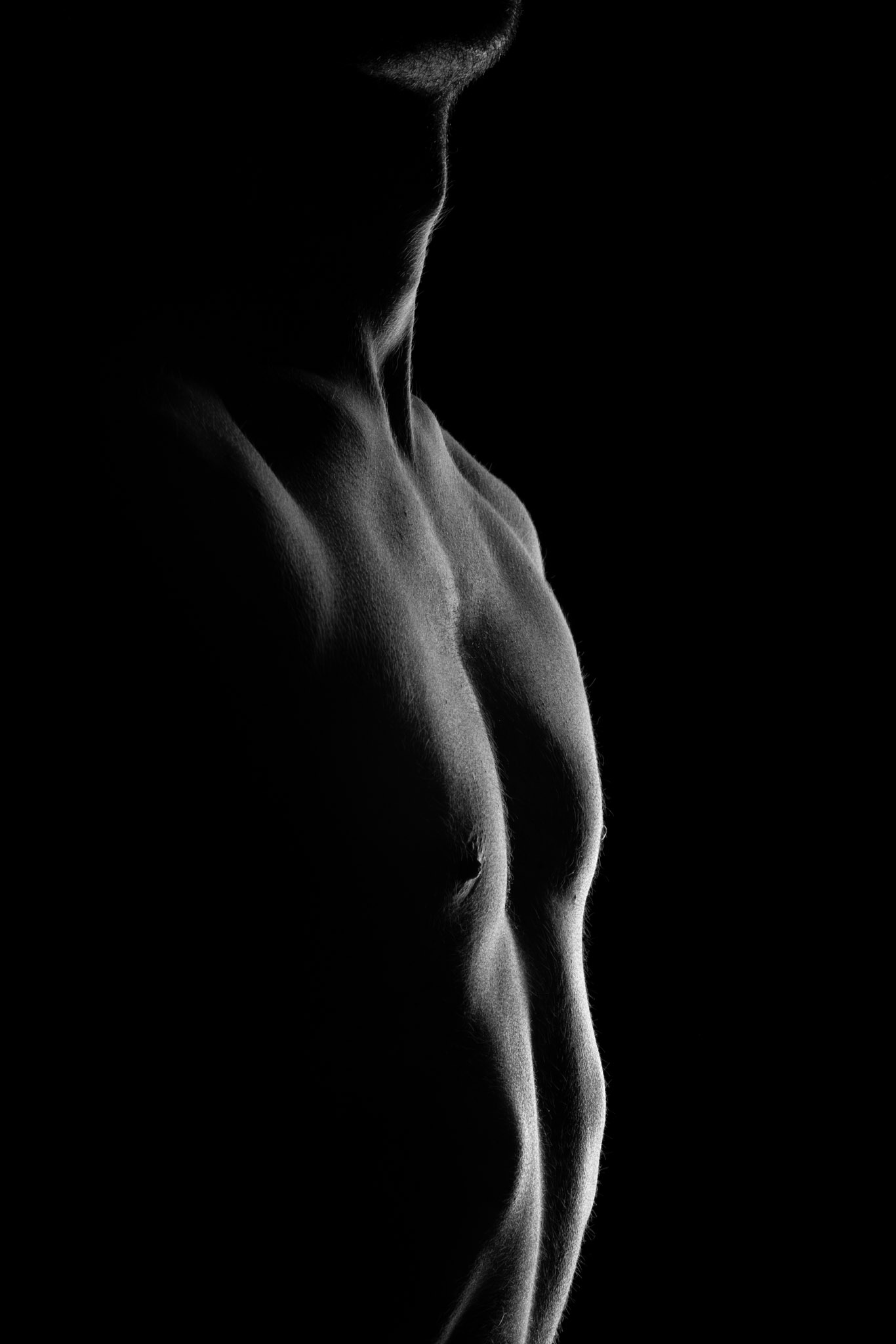Scudo black and white body wall art