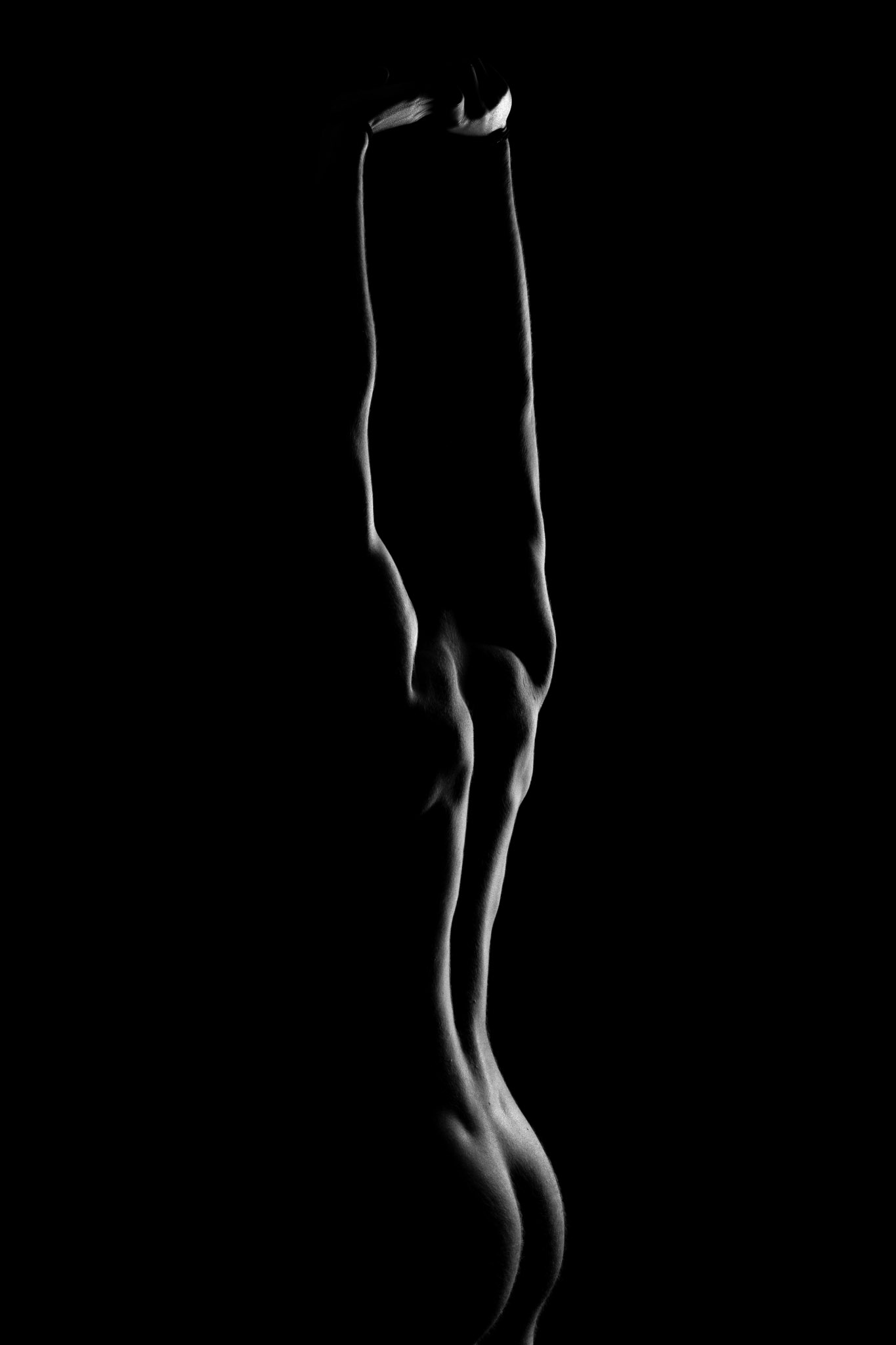 Presenza black and white body wall art