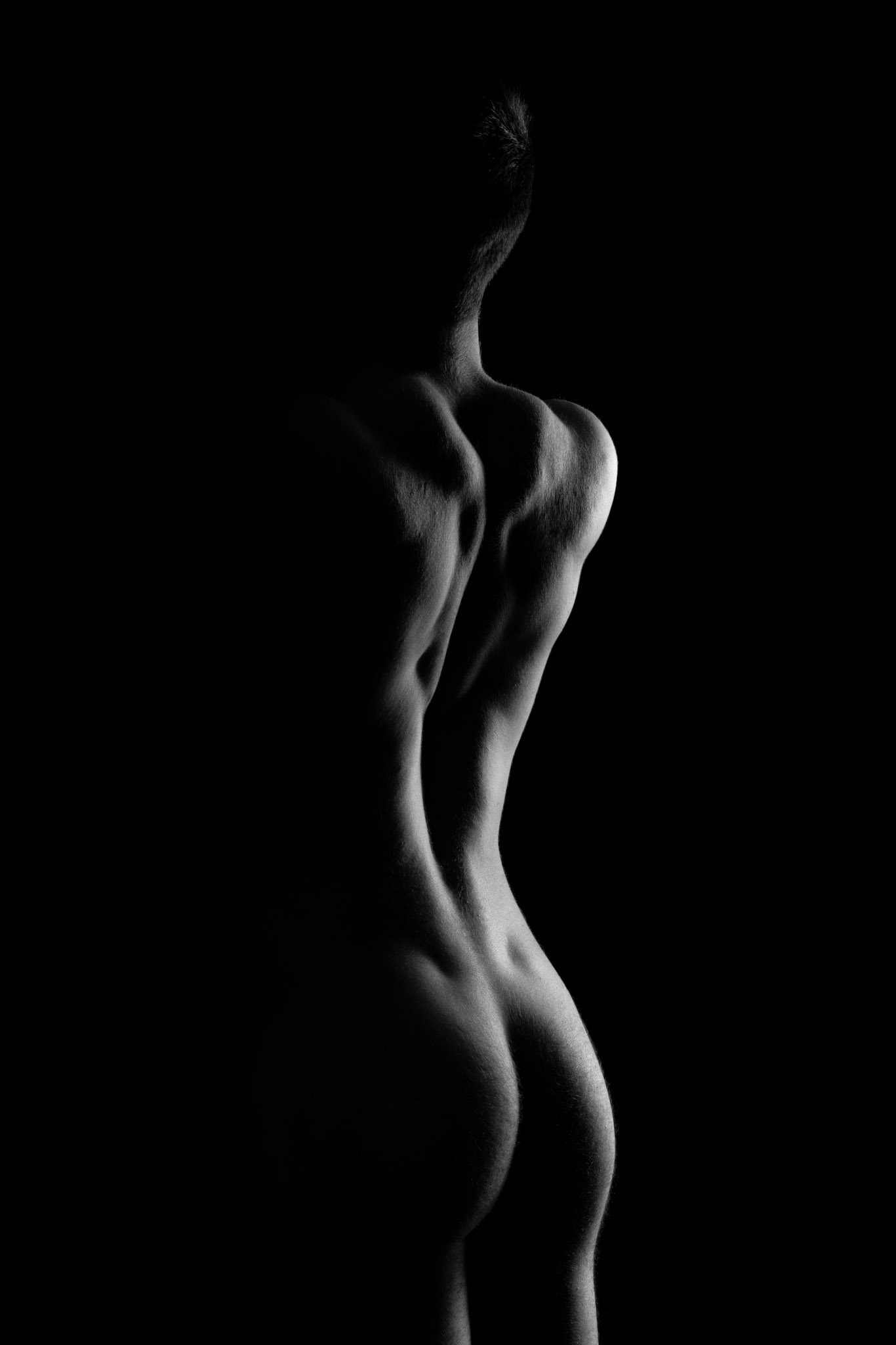 Fermi black and white body wall art