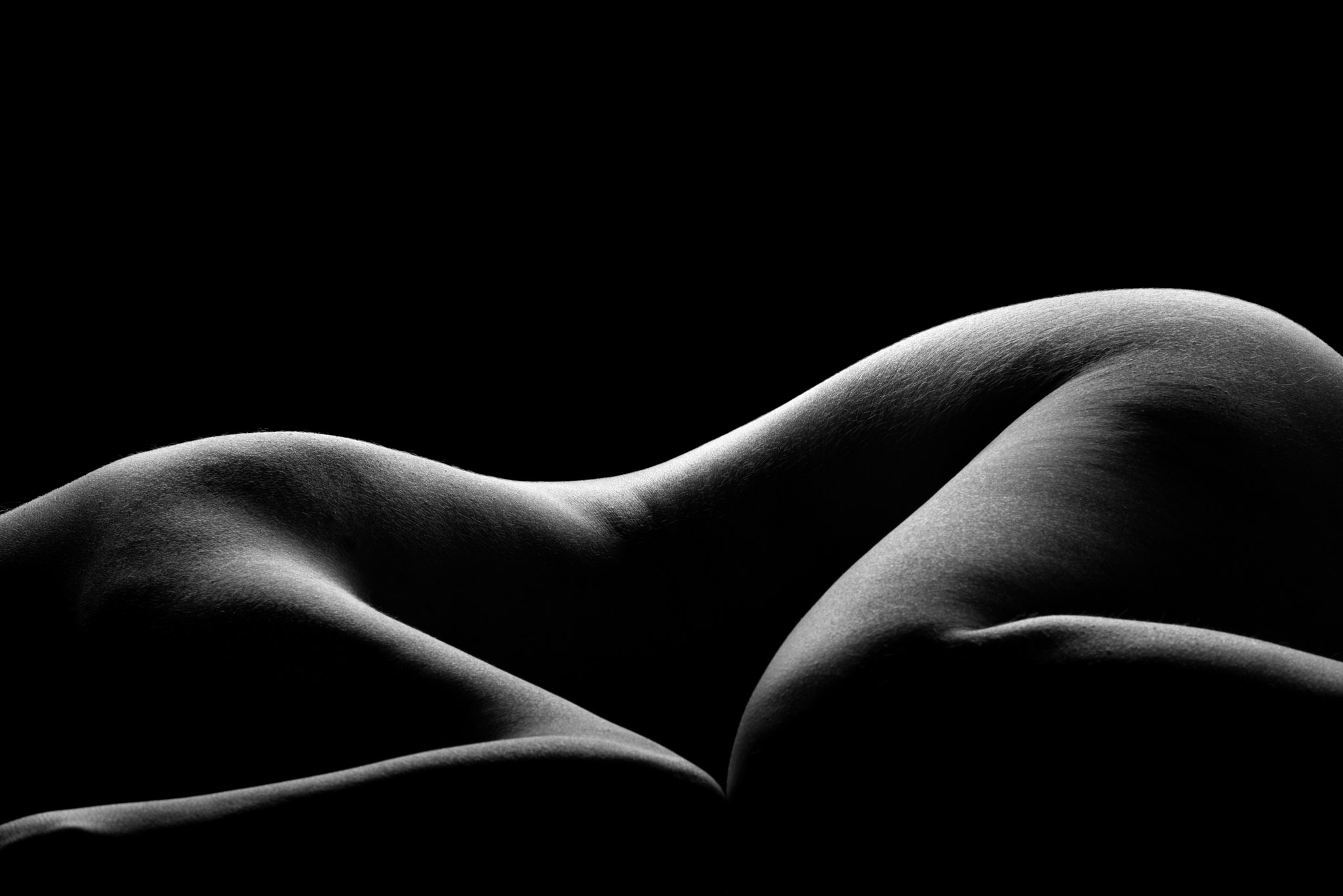 Sfiorare abstract human body wall art
