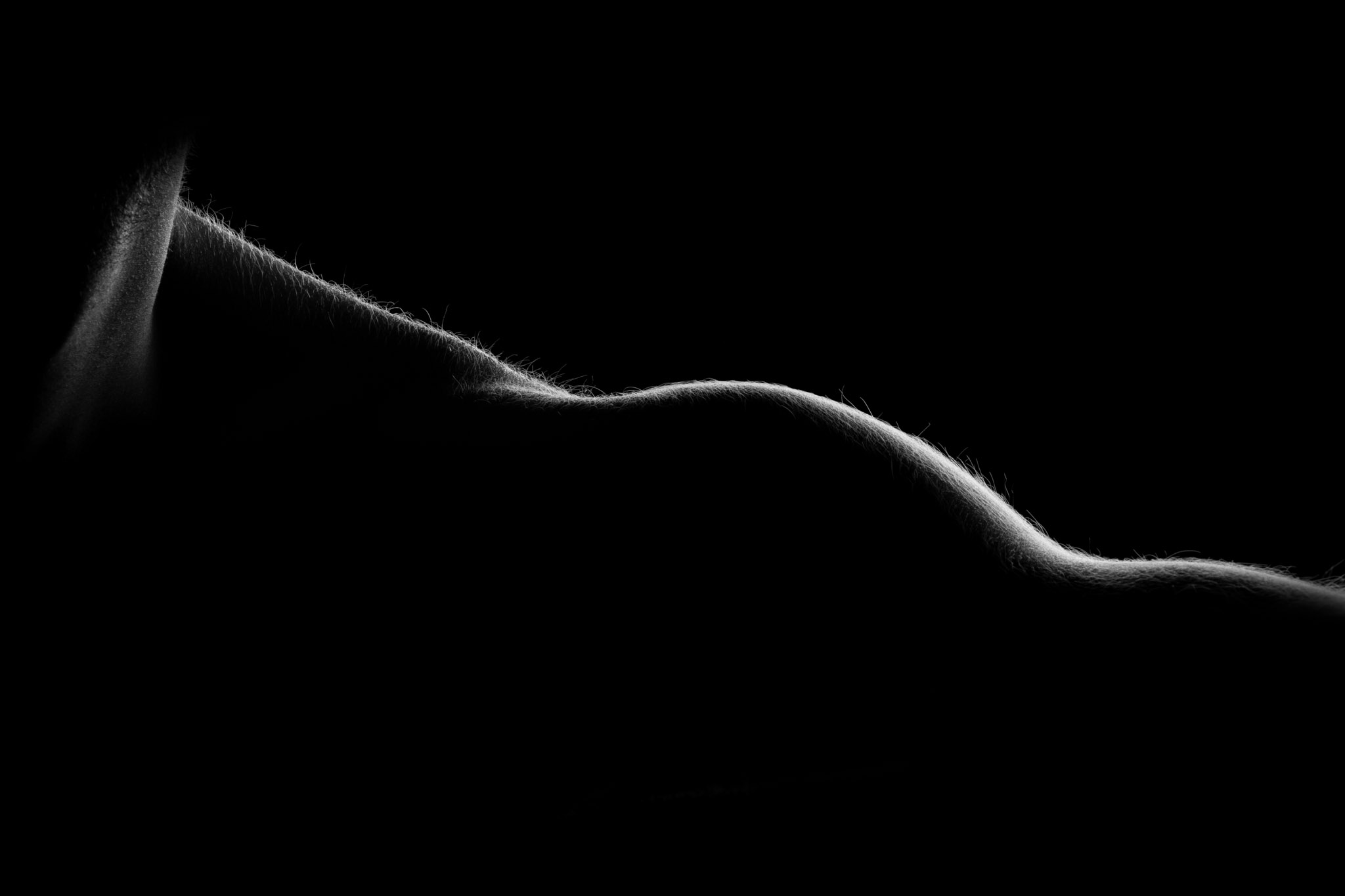Altrove abstract human body wall art